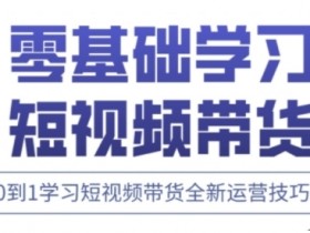 快手短视频带货运营课：0基础学习高阶剪辑与实战技巧-54创业网