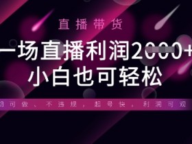 半无人直播带货赚钱秘籍：单场利润翻倍，全平台适用，新手也能快速上手-54创业网