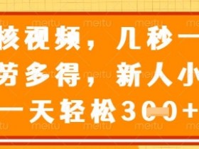 几秒一单！新人小白日赚3张的审核视频兼职揭秘，多劳多得-54创业网