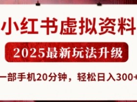2025小红书虚拟资料最新玩法：20分钟日入3张，一部手机轻松搞定！-54创业网