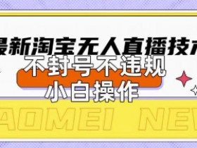 2025淘宝无人直播带货10.0技术：不违规不封号，新手日入1000+纯干货揭秘-54创业网