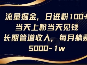 流量掘金秘籍：日引100+精准粉，当天变现，轻松躺赚5k+管道收入-54创业网