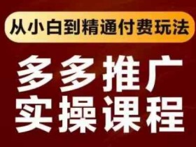 拼多多推广实操课程：0基础速成精通付费推广玩法-54创业网
