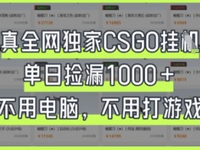 CSGO真全网独家挂G：单日捡漏1k+技巧大揭秘-54创业网