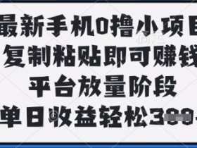0撸手机赚钱项目：复制粘贴日赚300+，平台放量速来！-54创业网