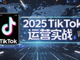 2025年TikTok电商运营秘籍：低成本高转化店铺核心技巧-54创业网