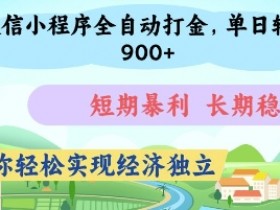 微信小程序打金全自动赚钱：单日轻松几张，暴利稳定实现经济自由-54创业网
