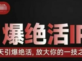 14天引爆绝活IP训练营：快速放大你的技能变现-54创业网
