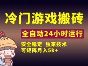 冷门游戏搬砖全自动：独家技术稳定无风险，矩阵操作月入5k小白教程-54创业网