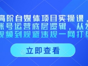 AI自媒体运营课：账号底层逻辑+视频发布到违规规避实战-54创业网
