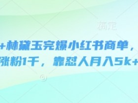 林黛玉怼人涨粉秘籍：3天1千粉月入5k，完爆小红书商单的即梦变现术-54创业网