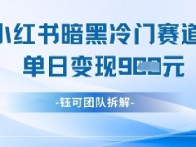 小红书冷门暗黑赛道揭秘：单日收益破千的暴利玩法-54创业网