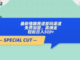 轻云情趣赛道首码渠道：免费加盟高佣金，轻松日入500+-54创业网