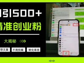 日引500+精准创业粉：无需文案剪辑，轻松获客方法大揭秘-54创业网