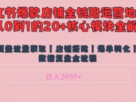 小红书店铺运营秘籍：爆款笔记涨粉逻辑，日入1k的精细化投流技巧-54创业网
