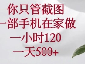 手机截图兼职在家做：苹果安卓都能赚，1小时120元日入5单+【揭秘】-54创业网