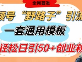 野路子视频号截流玩法：单日单号引流50+创业粉的评论区模板-54创业网