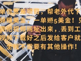 海外视频代下服务：零门槛挣美金，单笔收益40+，新手轻松上手-54创业网