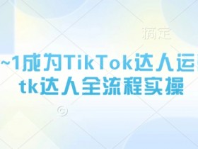 TikTok达人运营全流程：从0~1实操指南，轻松玩转TK涨粉变现-54创业网