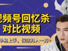 回忆杀视频号分成计划：1小时日赚300+，新手小白月入过W秘籍大公开-54创业网