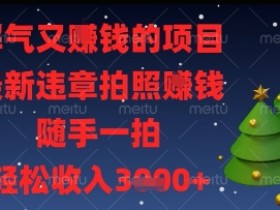 最新违章拍照挣钱项目：随手一拍解气又赚钱，轻松收入揭秘-54创业网