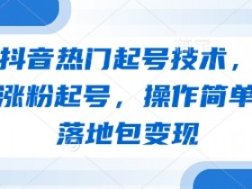 抖音热门起号技术：3天快速涨粉实操，简单易学包变现-54创业网