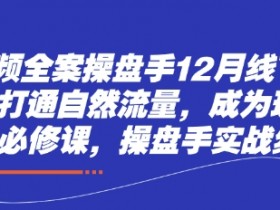 短视频操盘手线下课：12月实战IP必修课，打通自然流量打造现象级爆款-54创业网