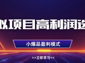虚拟项目高利润选品攻略：单店月赚1W+，多店复制暴利秘籍-54创业网