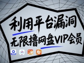 网盘VIP会员免费获取方法：平台漏洞实测有效！附原理+教程-54创业网