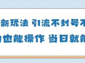 国学引流新玩法：0基础小白当天变现，不封号不违规实操指南-54创业网