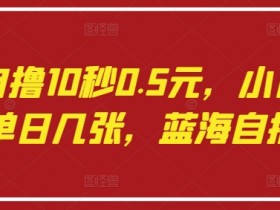 语聊自撸10秒0.5元：小白轻松日赚几张，蓝海副业零门槛上手-54创业网