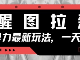 醒图拉新赚钱：手机3分钟做视频，日赚500+的暴力新玩法-54创业网