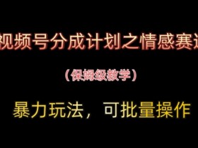 情感赛道暴力玩法：视频号分成计划保姆级教学，批量操作轻松赚钱-54创业网