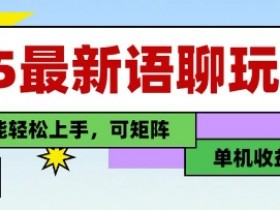 2025最新语聊赚钱玩法：单机日赚100+，纯手工零门槛，小白轻松上手可矩阵-54创业网