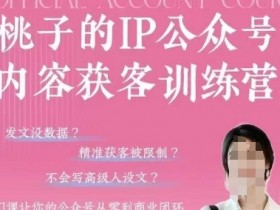 桃子IP公众号获客训练营(第3期)：0基础打造商业闭环的爆款课程-54创业网