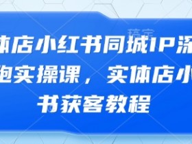 实体店小红书同城IP获客实操课：0基础打造爆款引流教程-54创业网