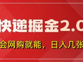 拼多多0元购快递返佣项目：全自动下单软件日赚500+，小白轻松上手掘金2.0-54创业网