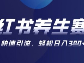 AI养生笔记爆款攻略：可画+AI生成小红书矩阵，新手日入300+-54创业网