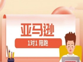 亚马逊FBA/FBM精铺1对1陪跑课：手把手教你玩转跨境-54创业网