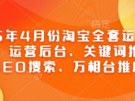 2025淘宝运营实战课：后台操作、关键词推广、SEO搜索优化、万相台投放技巧-54创业网