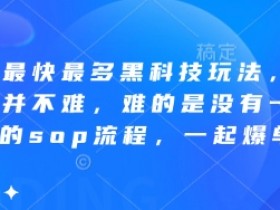拼多多黑科技玩法：最快起量爆单SOP流程，轻松掌握拼多多运营技巧-54创业网