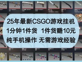 25年最新CSGO游戏挂G赚钱秘籍：1分钟1件货赚10元，手机轻松操作无门槛-54创业网