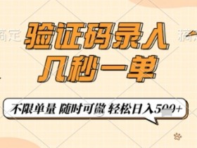 手机兼职验证码录入：几秒一单日赚50+，在家用手机就能做！-54创业网