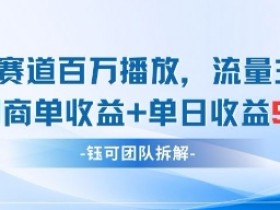 中老年赛道赚钱秘籍：单日收益9张+百万播放+流量主与定制收益-54创业网
