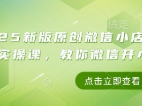 2025微信小店带货实操课：新手开店赚钱指南，手把手教你微信开店运营-54创业网