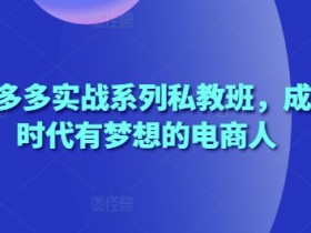 2025拼多多电商实战私教班：成就梦想电商人的必备课程-54创业网