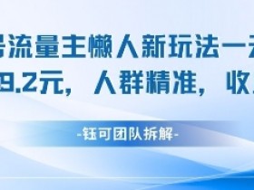 视频号流量主赚钱秘籍：懒人玩法日入1k，精准人群高收益-54创业网