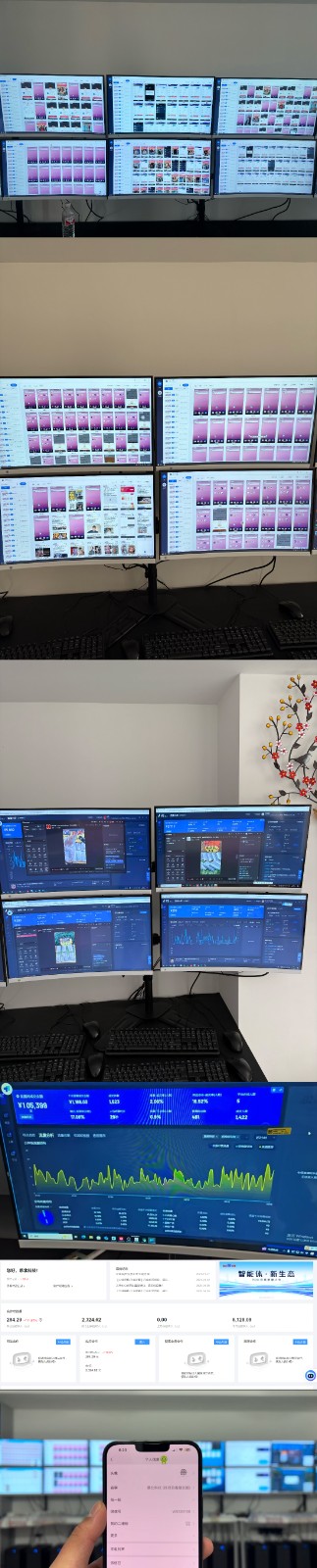 实操项目合集 自动运行类型 直播类型 轻资产创业类型 课程分享各项目介绍和原理