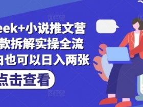 小白也能日入200+！DeepSeek小说推文爆款拆解全流程实操-54创业网