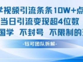 国学视频10W+点赞秘籍：当日引流变现4位数实战技巧-54创业网